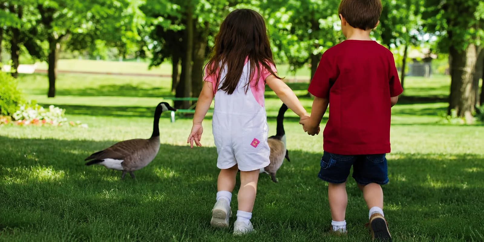 Children walking through a shaded green space with geese in the Acadia community near Greenville, South Carolina.