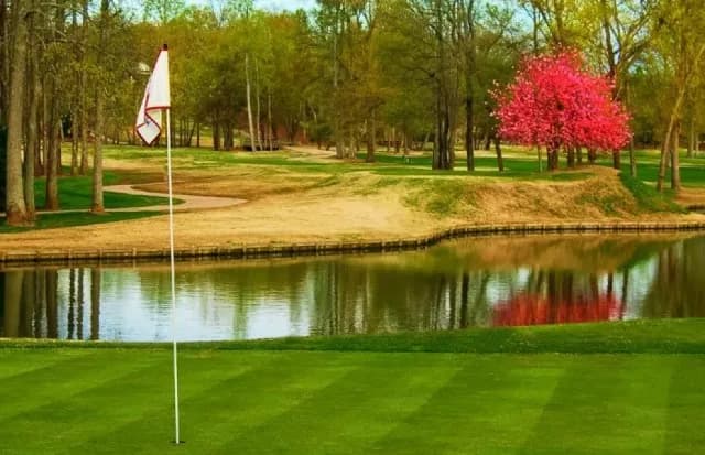 View of the Thornblade Club golf course with a putting green, water hazard, and vibrant pink tree.